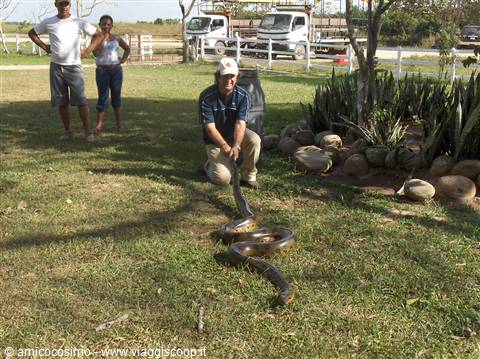 Cosimo cercando di prendere un' Anaconda Los Llanos