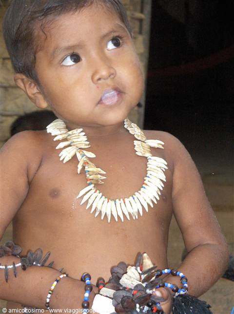 Amazzonia