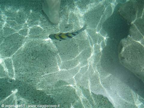direttamente sulla spiaggia