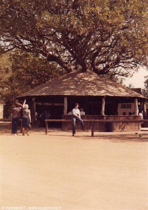 Kruger national park
