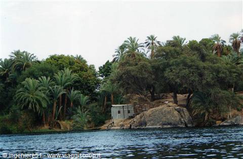 nilo verde