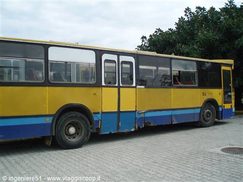 trasporti pubblici