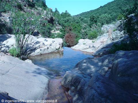 le piscine