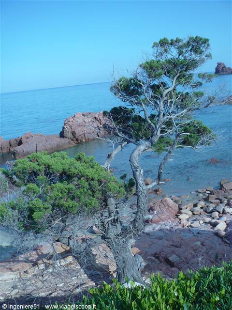 spettacolo della natura