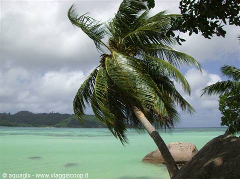 Mahe