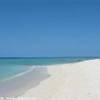  BARBADOS 