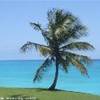  BARBADOS 