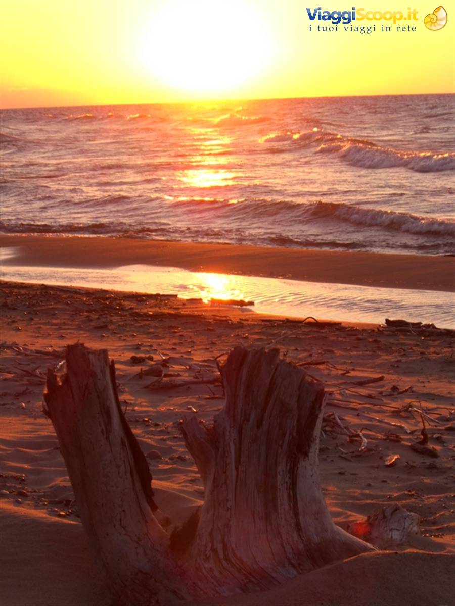 Foto di viaggio in STATI UNITI D'AMERICA