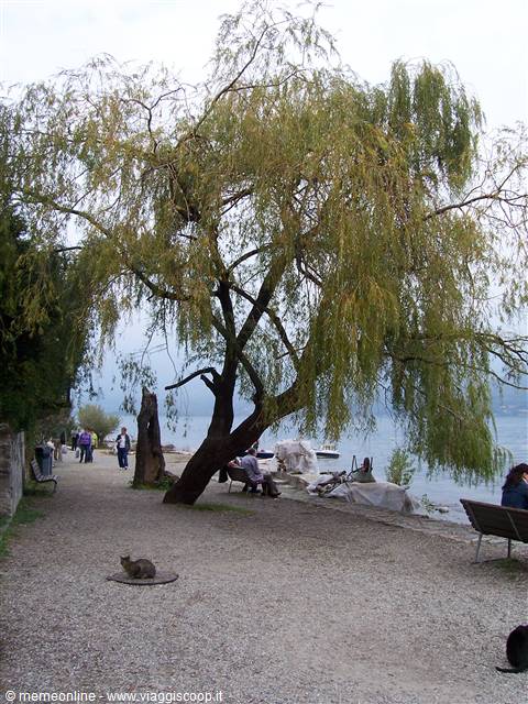 ISOLA DEI PESCATORI