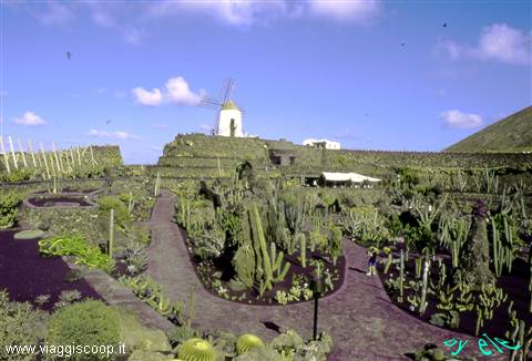 Jardin de Cactus