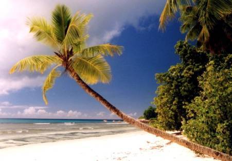 La Digue - Anse Sévère