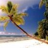 foto viaggio SEYCHELLES