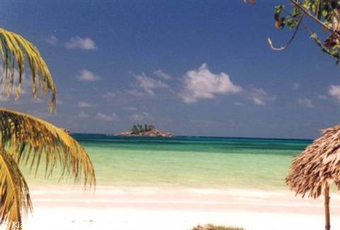 Praslin - vista dal bungalow