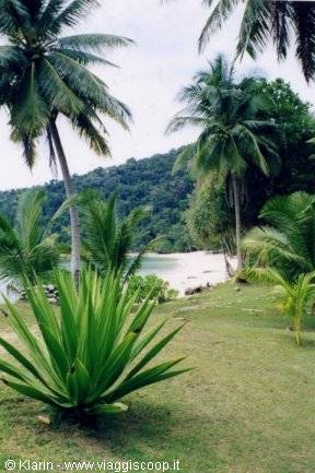 Sibu
