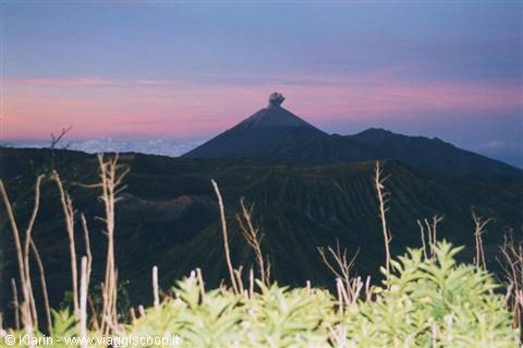 Bromo