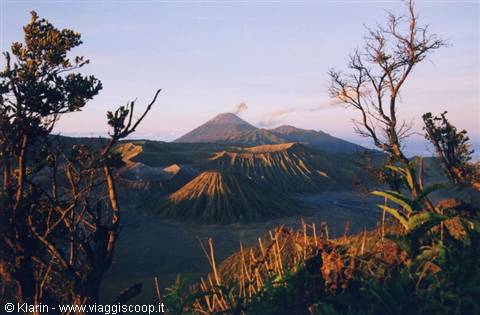 Bromo