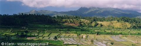 Risaie di Tirtagangga