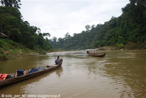 Taman Negara