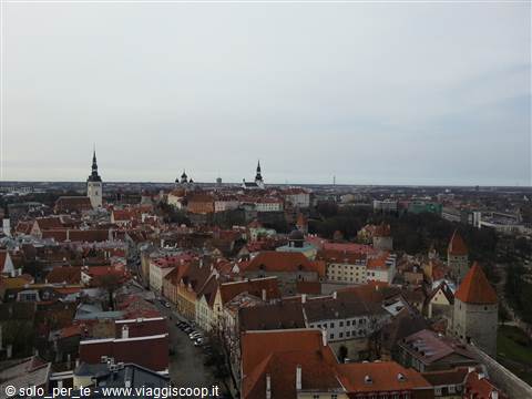 Tallin