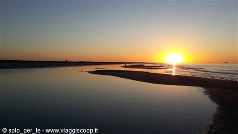 Grenen
