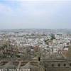 dalla giralda una veduta di Siviglia SPAGNA 