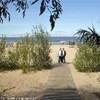 SPIAGGIA DI JURMALA SVEZIA 
