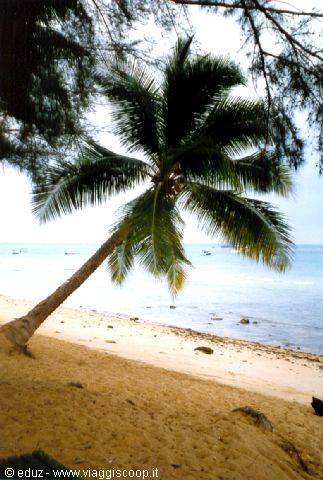 Tioman