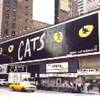 New York: Broadway STATI UNITI D'AMERICA 