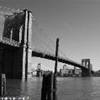 Brooklyn Bridge STATI UNITI D'AMERICA 