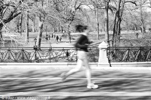 Central Park