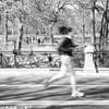 Central Park STATI UNITI D'AMERICA 