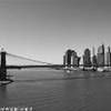 Brooklyn Bridge STATI UNITI D'AMERICA 