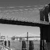 Brooklyn Bridge STATI UNITI D'AMERICA 