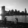 Brooklyn Bridge STATI UNITI D'AMERICA 
