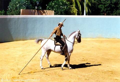 Facenda El Cartujano