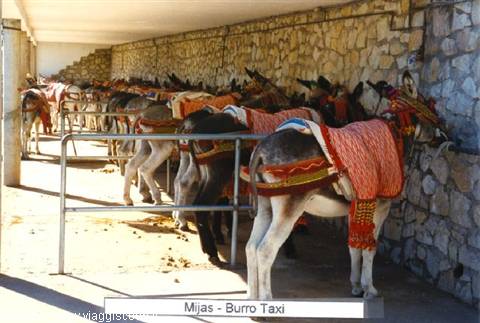 Mijas - Burro Taxi