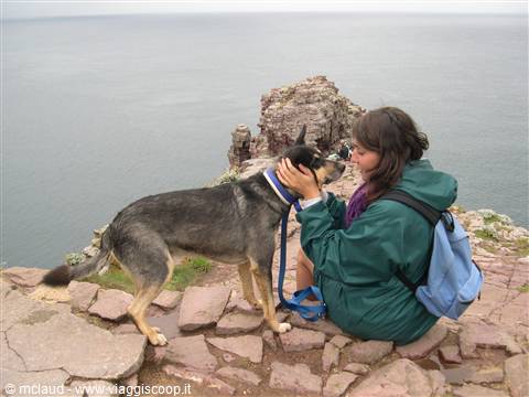 MOMENTI DA INCORNICIARE A CAP FREHEL . . . (BRETAGNA)