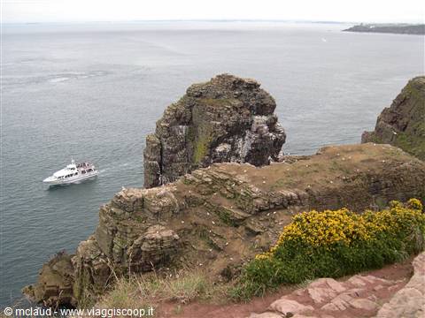 PANORAMI ECCEZIONALI DA CAP FREHEL (BRETAGNA)