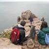 SULLA VETTA DELLA SCOGLIERA DI CAP FREHEL (BRETAGNA) FRANCIA 