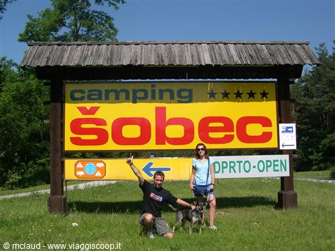 IL NOSTRO FANTASTICO CAMPING A 5 STELLE IMMERSO NEL BOSCO . . .