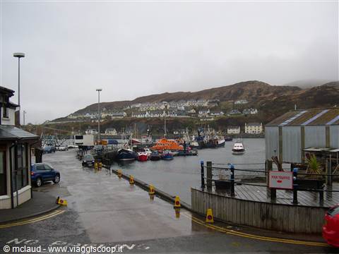 BARCHE AL PORTO DI MALLAIG