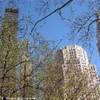 PANORAMA DAL CENTRAL PARK STATI UNITI D'AMERICA 