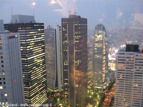 VISTA DAL TOKYO METROPOLITAN GOVERNMENT BUILDING
