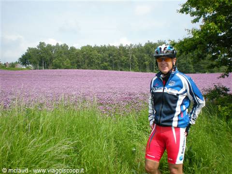 COLORI DELLA DANIMARCA . . .