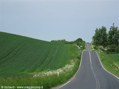 ON THE ROAD. . .