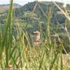 Brisighella ITALIA 
