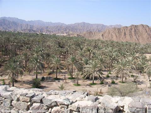 EMIRATO DI FUJARAH