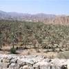 EMIRATO DI FUJARAH EMIRATI ARABI UNITI 
