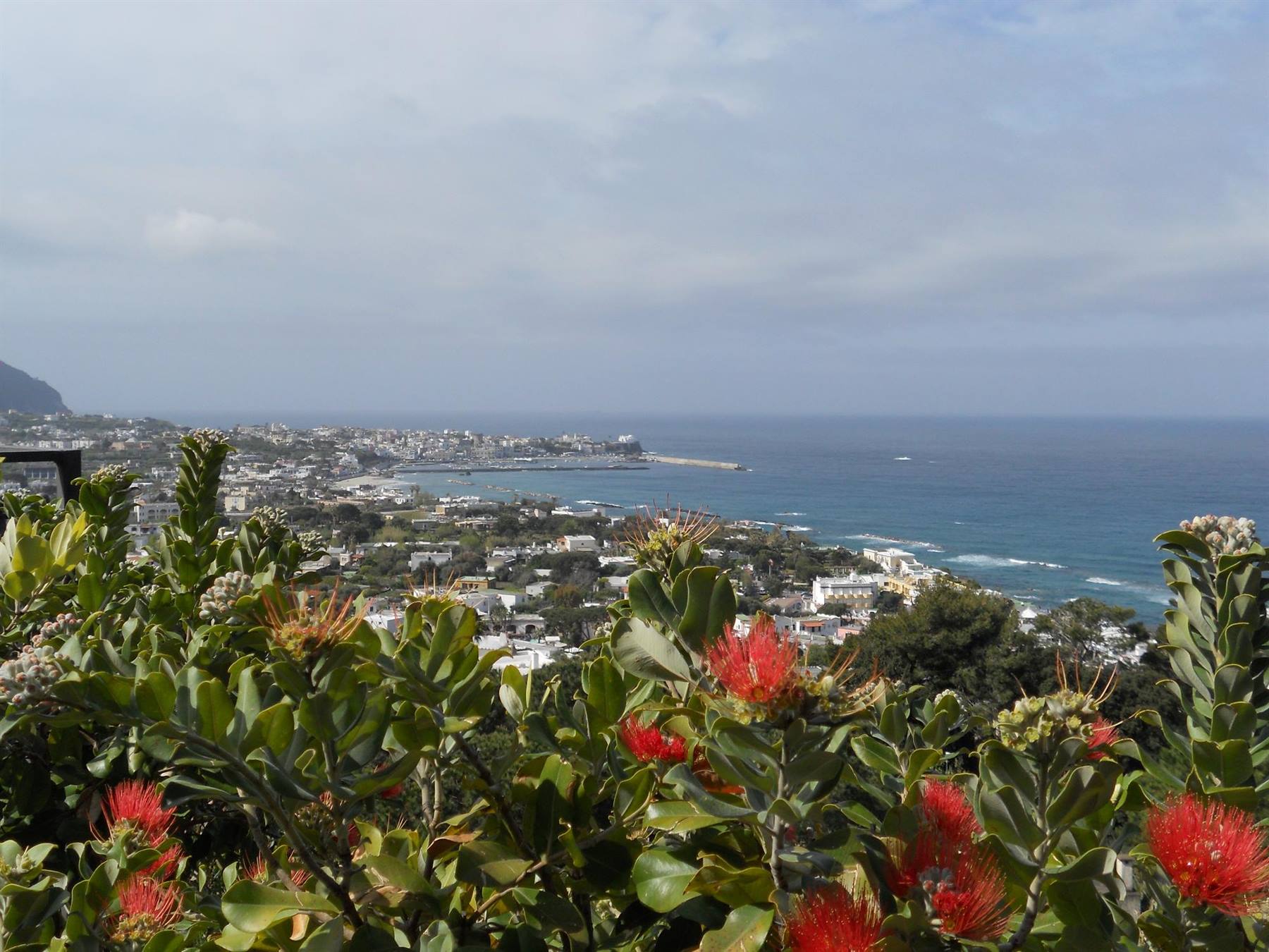 FORIO D'ISCHIA