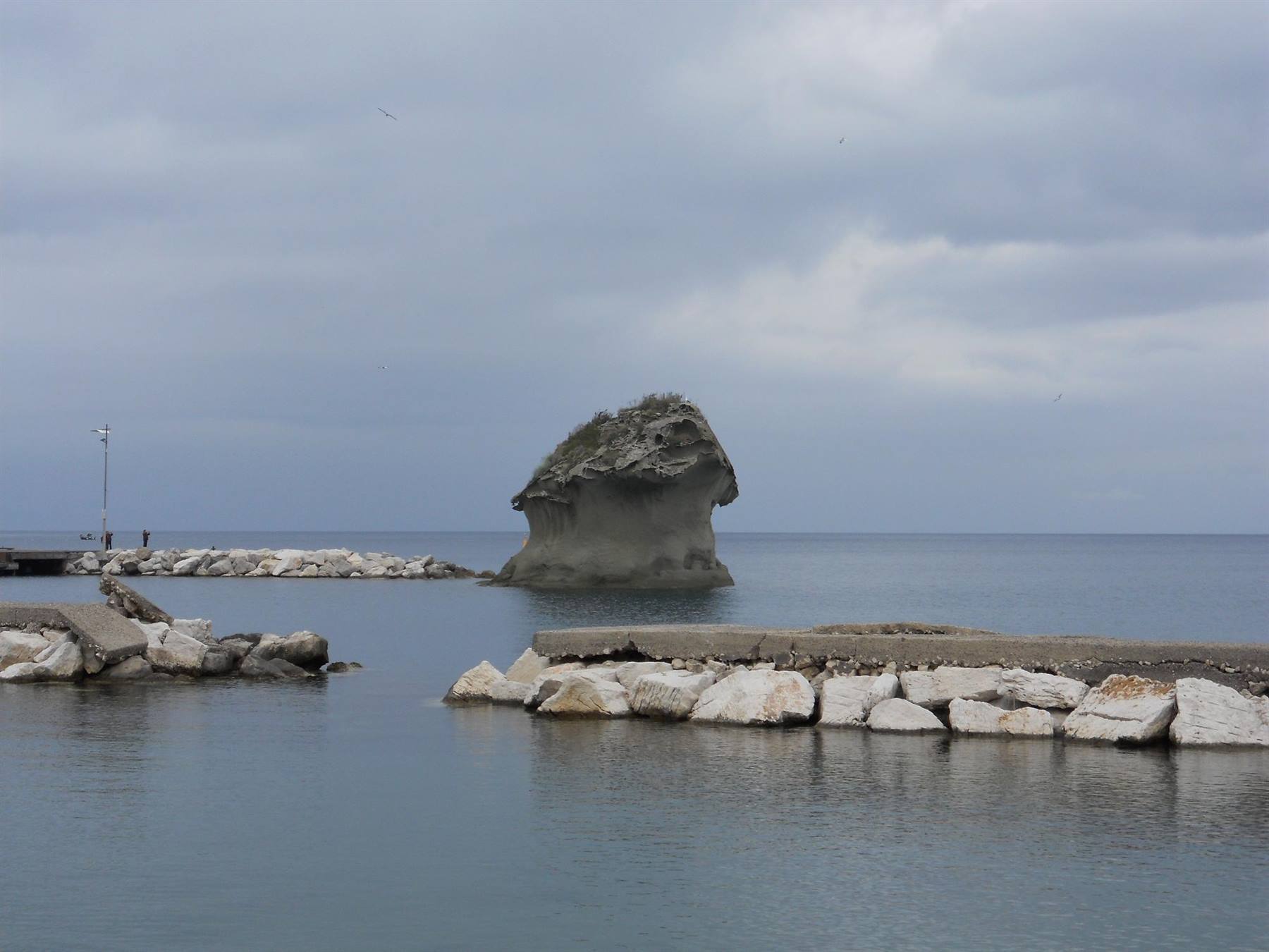 LACCO AMENO - IL FUNGO